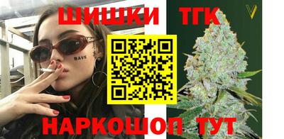 тгк Будённовск