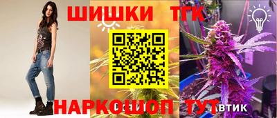 тгк Будённовск