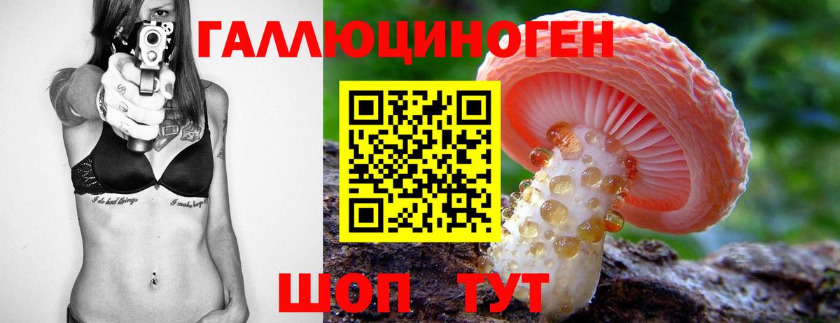 Спасск-Дальний  Псилоцибиновые грибы ЛСД  Псилоцибиновые грибы Psilocybine cubensis  Вход с VPN 