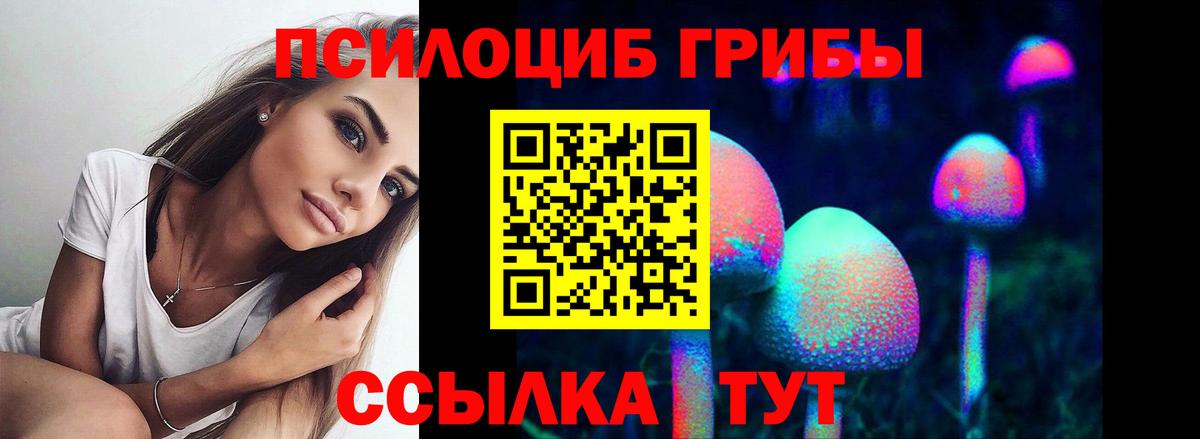 Псилоцибиновые грибы GOLDEN TEACHER Спасск-Дальний